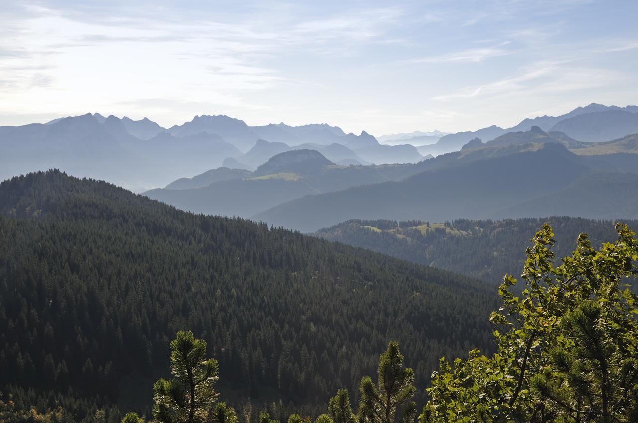 Mein Chalet Reit im Winkl Buitenkant foto